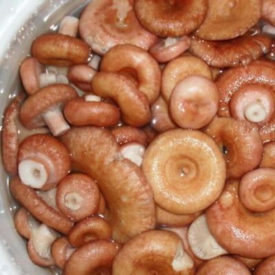 Как правильно солить грибы волнушки?