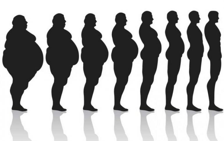 Основы правильного питания для похудения: меню, рекомендации диетолога и отзывы